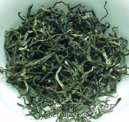 紫陽毛尖的發展