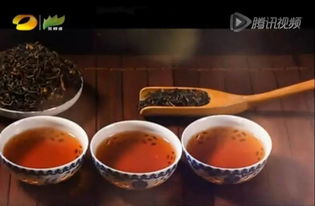 潤元昌柑普茶 湖南廣電茶頻道傾情推薦，品味地道茶香