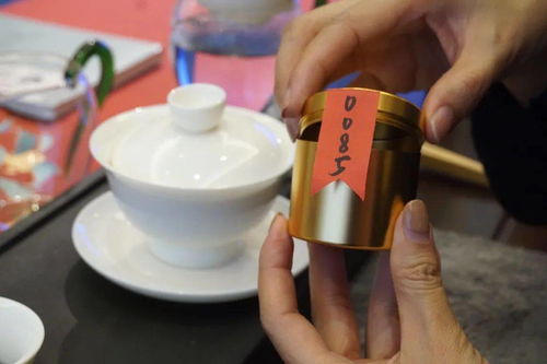 好茶，好書，好時光 ——《普洱》雜志15周年暨瀾滄古茶全國聯動品讀會百城盛放