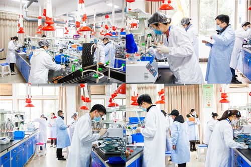 2022年省職業(yè)院校技能大賽高職生物與化工類化學(xué)實驗技術(shù)項目在我校圓滿舉行，聚焦生物化工產(chǎn)品技術(shù)研發(fā)