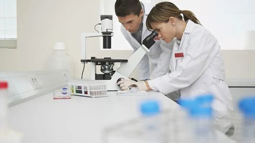 化學(xué)、化工與生物化工專業(yè)就業(yè)前景分析